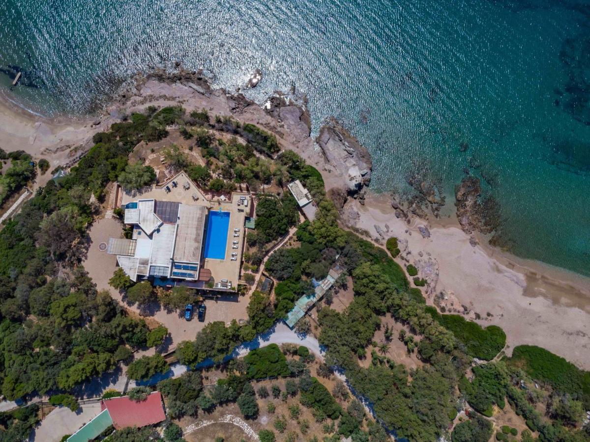 Black Diamond Beachfront Pool Villa Pasithea In Sounio, Athens ซูนิโอ ภายนอก รูปภาพ