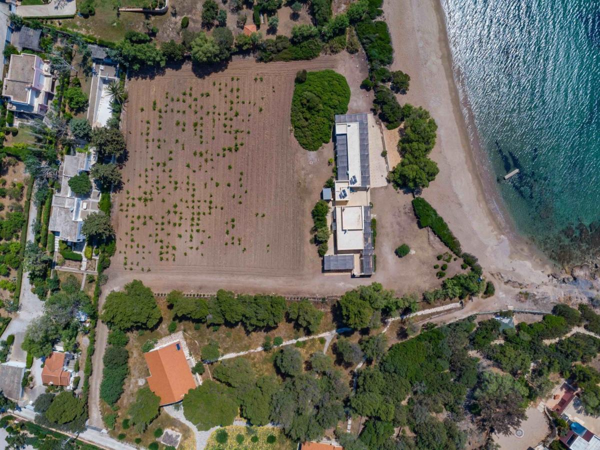 Black Diamond Beachfront Pool Villa Pasithea In Sounio, Athens ซูนิโอ ภายนอก รูปภาพ