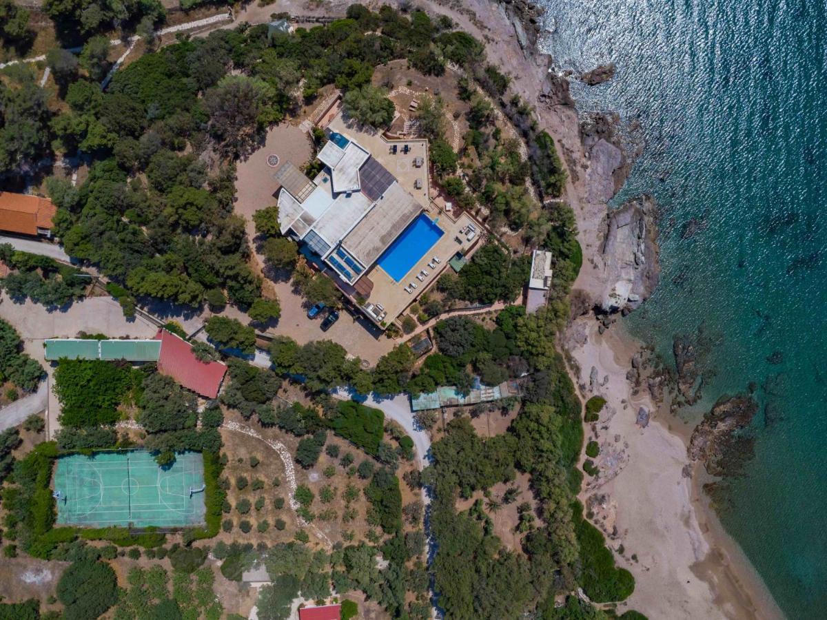 Black Diamond Beachfront Pool Villa Pasithea In Sounio, Athens ซูนิโอ ภายนอก รูปภาพ